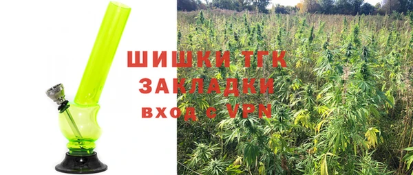 дмт Алексин