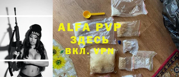 дмт Алексин