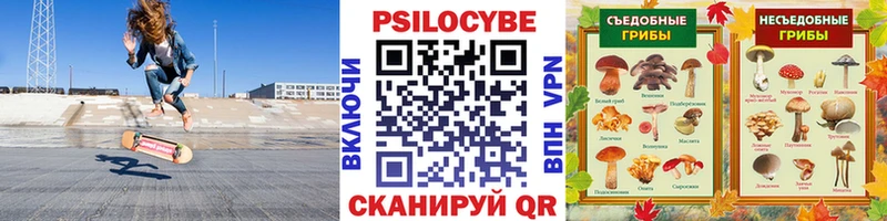 Псилоцибиновые грибы GOLDEN TEACHER  где можно купить   Жуковский 