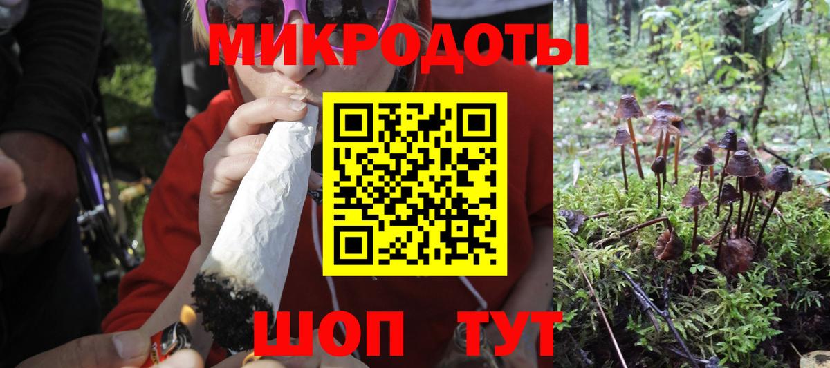 Жуковский  Галлюциногенные грибы мухоморы  Вход с VPN  Галлюциногенные грибы прущие грибы 
